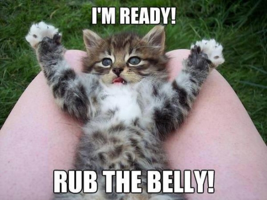 Im ready Rub the belly