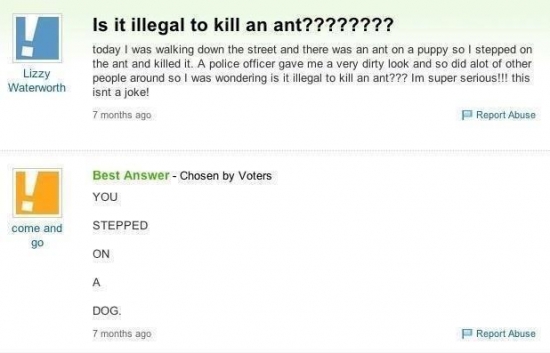 Is it illegal to kill an ant