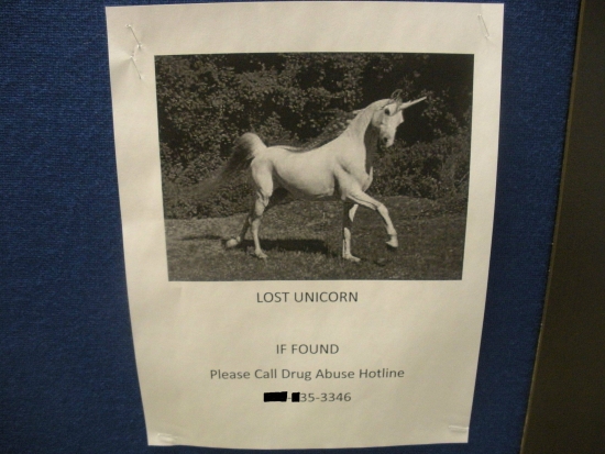 Lost Unicorn