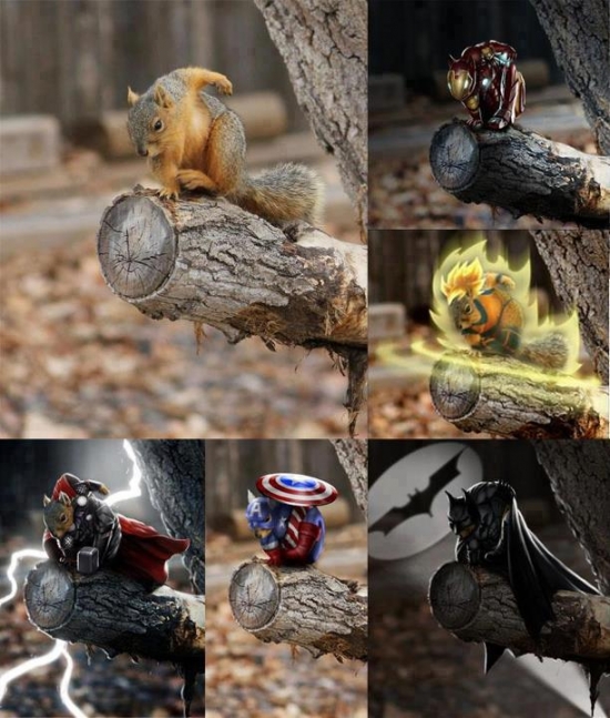 Squirrel can be anything he wants to be