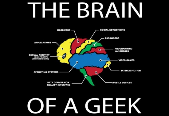 The Brain of a Geek