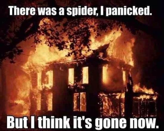 There was a Spider.. I Panicked