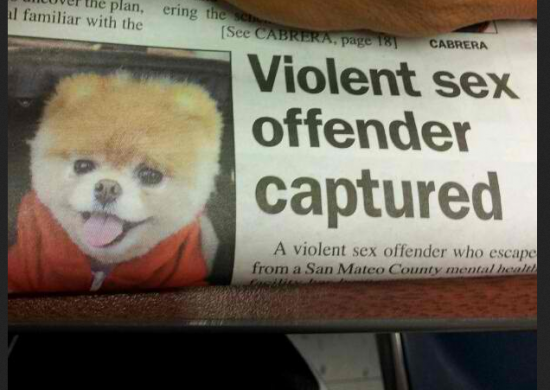 Violent sex offender captured