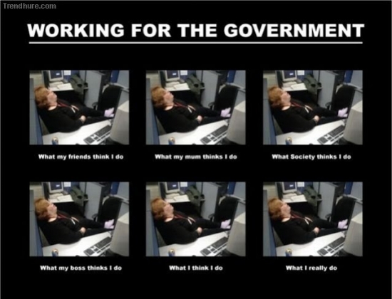 Working for the Government