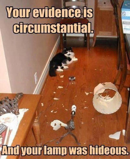 Your evidence is circumstantial