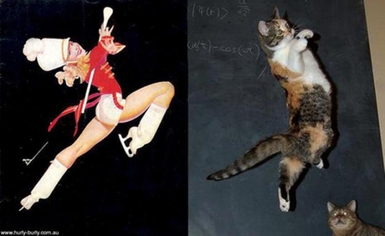 cats that look like pin up girls 10