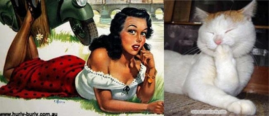 cats that look like pin up girls 16