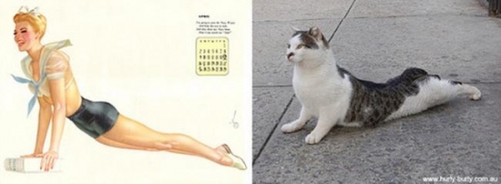 cats that look like pin up girls 17