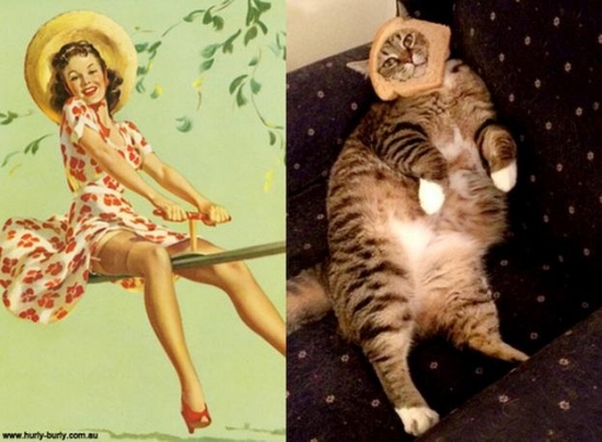 cats that look like pin up girls 2