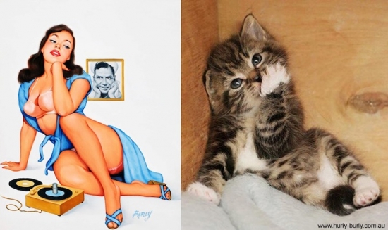 cats that look like pin up girls 3