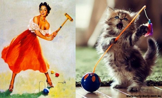 cats that look like pin up girls 3