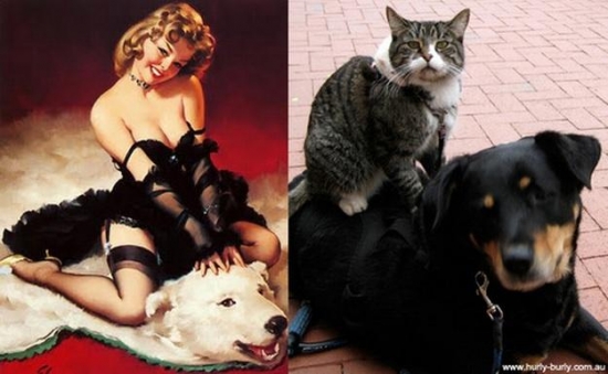 cats that look like pin up girls 5