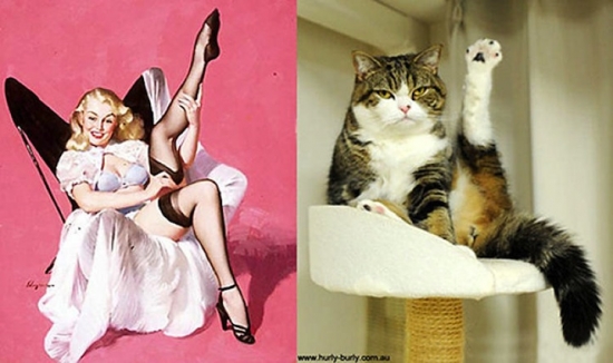 cats that look like pin up girls 6