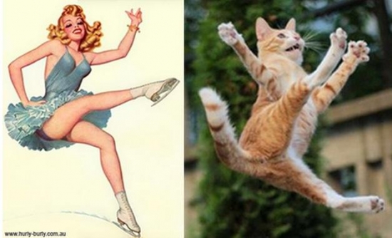 cats that look like pin up girls 8