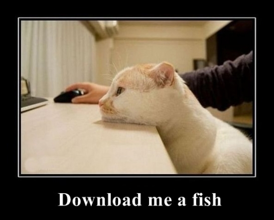 download me a fish