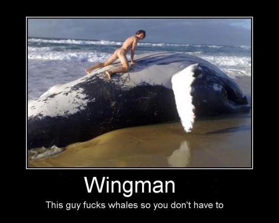 wingman2