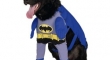 Batdog