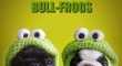 Bull Frogs