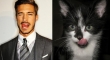 Cats That Look Like Male Models 17