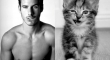 Cats That Look Like Male Models 9