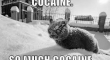 Cocaine so much cocaine