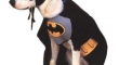 Da na na na Batdog