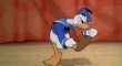 Donald Duck the original angry bird