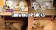 Growing up sucks2