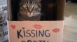 Kissing Booth but no tongues please