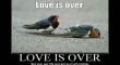 Love is over2