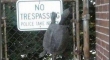 No Trespassing