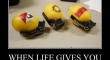 When Life Gives You Lemons2