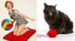 cats that look like pin up girls 11