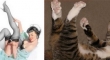 cats that look like pin up girls 11