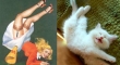 cats that look like pin up girls 12