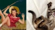 cats that look like pin up girls 15