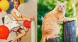 cats that look like pin up girls 4