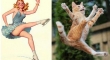 cats that look like pin up girls 8