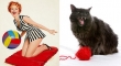 cats that look like pin up girls 9