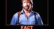 fact chuck3