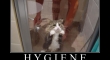 hygiene