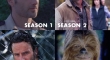 the evolution of Ricks mass amounts of hair