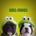 Bull Frogs