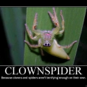 Clownspider