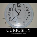 Curiosity Do you really want to know2