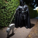 Darth Vader taking AT AT for a walk