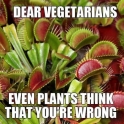 Dear Vegetarians even the plants....