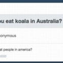 Do you eat Koala in Australia