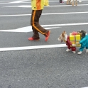 Dogs Carrying A Present