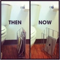 Evolution of bathroom